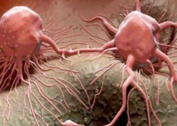 كيف تطور الخلايا السرطانية مقاومة للعلاج الكيميائي